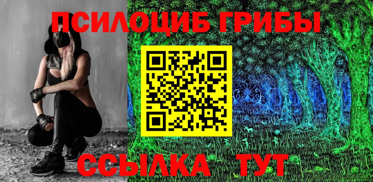Галлюциногенные грибы мухоморы  Вход с VPN  цена наркотик  Новосибирск 