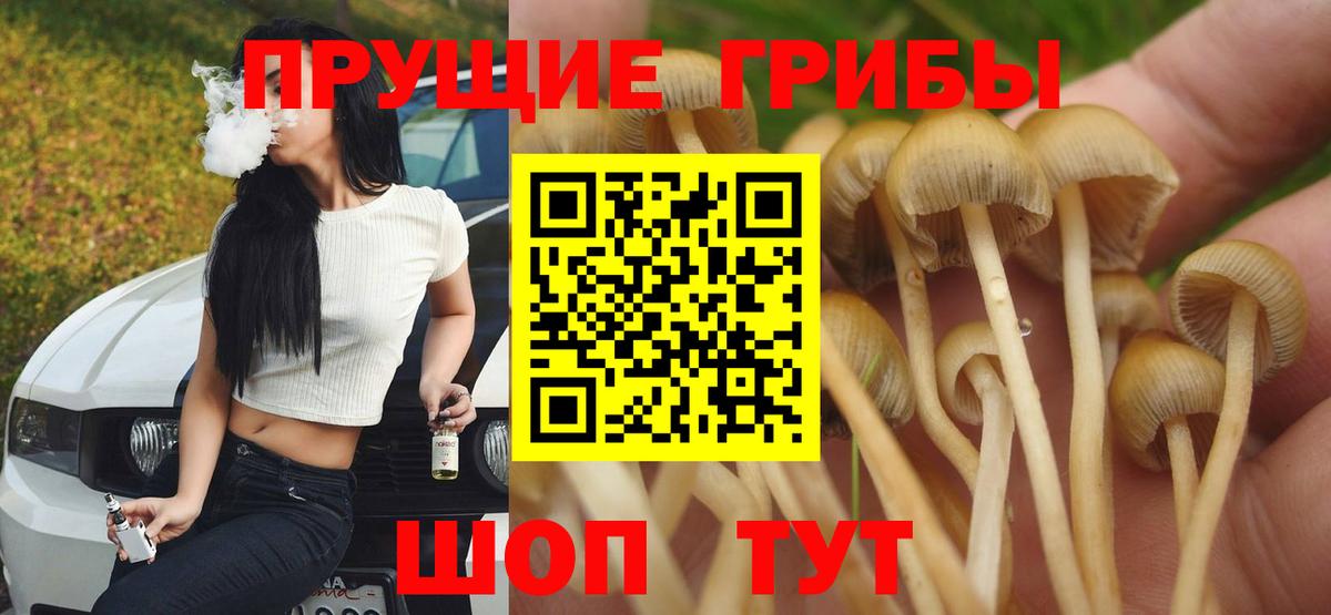 Галлюциногенные грибы ЛСД Новосибирск